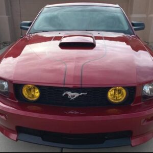 2008 Ford Mustang GT Convertible – 4.6L V8 Coupe
